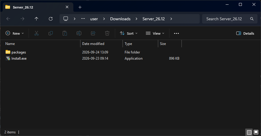 The extracted server package